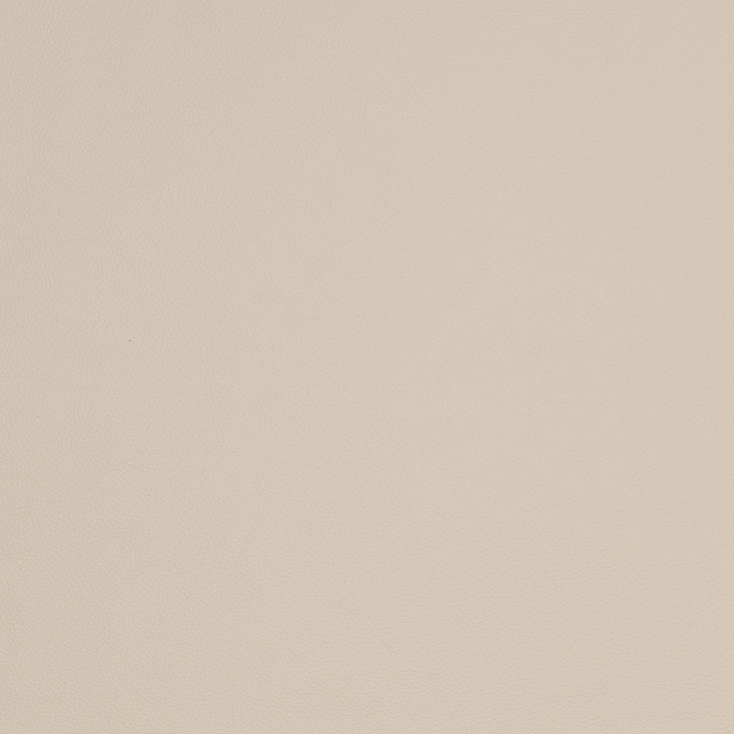 A cashew leather colour swatch