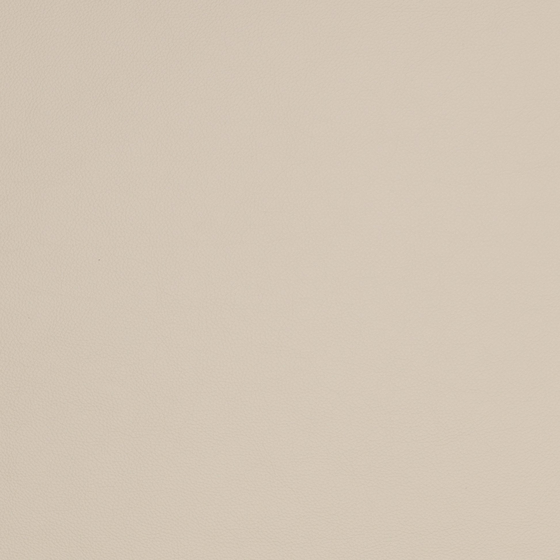 A cashew leather colour swatch