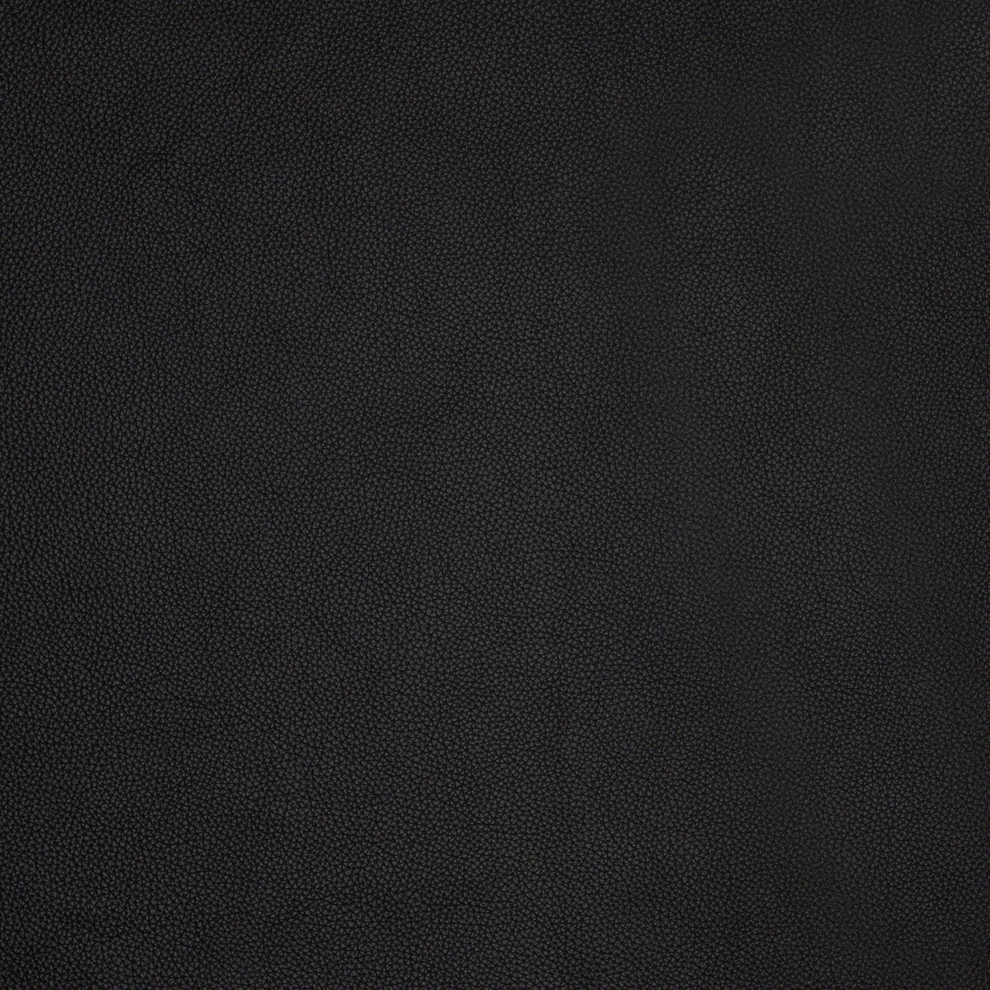 A black leather colour swatch