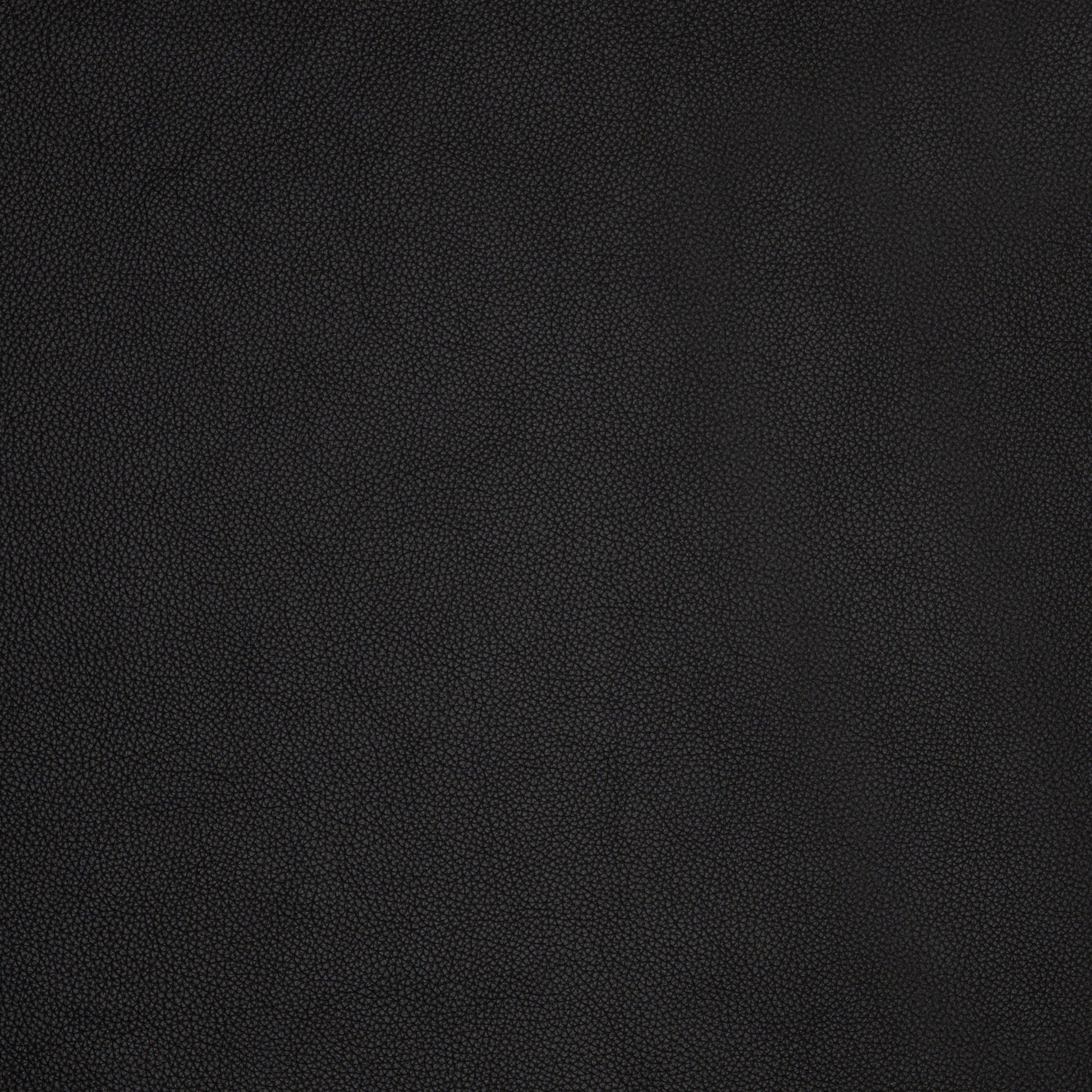 A black leather colour swatch